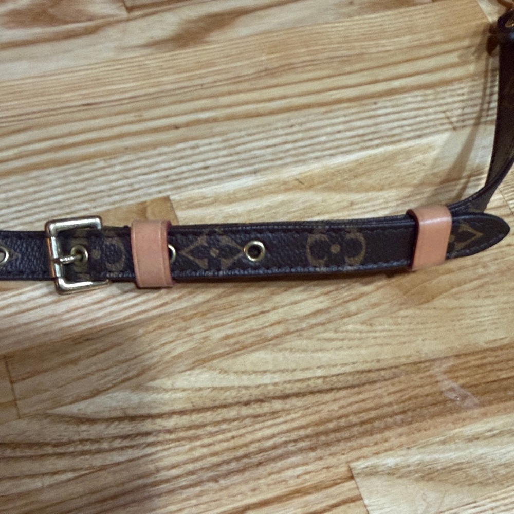 Louis Vuitton Monogram Adjustable Strap - image 3